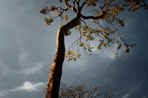 Ouverture de l’exposition photographique «la nature et moi»